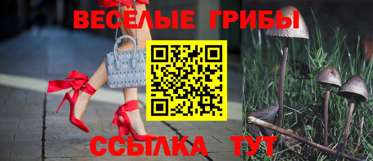 Псилоцибиновые грибы Psilocybine cubensis Бирск